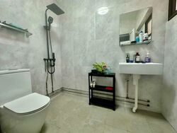 Blk 247 Bishan Street 22 (Bishan), HDB Executive #557941811